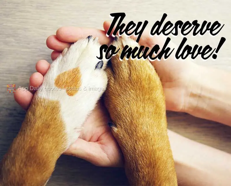 Eles merecem muito amor!