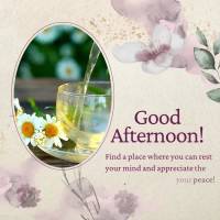 Encontre um lugar onde você possa descansar a mente e apreciar o silêncio para alcançar a sua paz! Boa tarde!