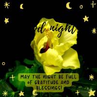 Que a noite seja de gratidão e bênçãos! Boa noite!