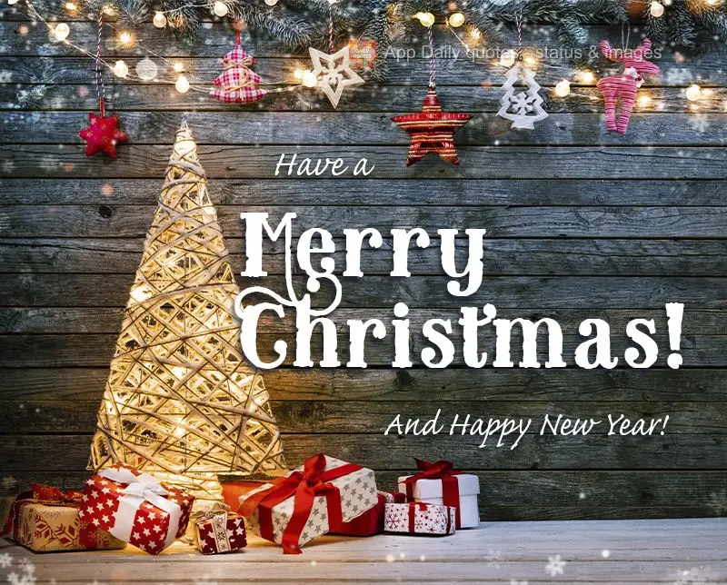 Have a Merry Christmas! And a Happy New Year!