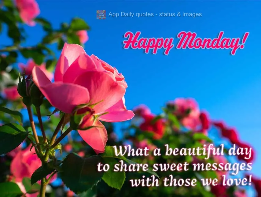 Que dia lindo para compartilhar mensagens lindas com quem a gente gosta! Feliz Segunda-feira!
