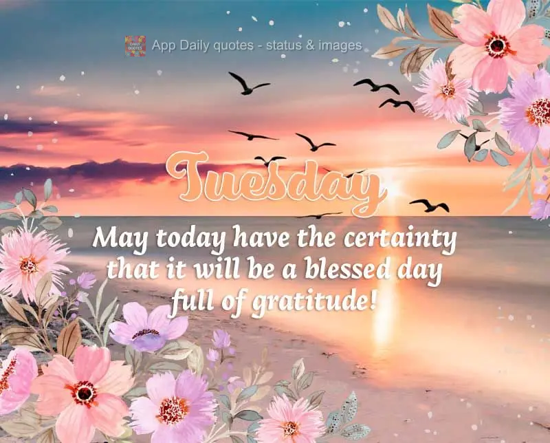 Que hoje venha a certeza que hoje será um dia abençoado, e cheio de gratidão! Terça-feira
