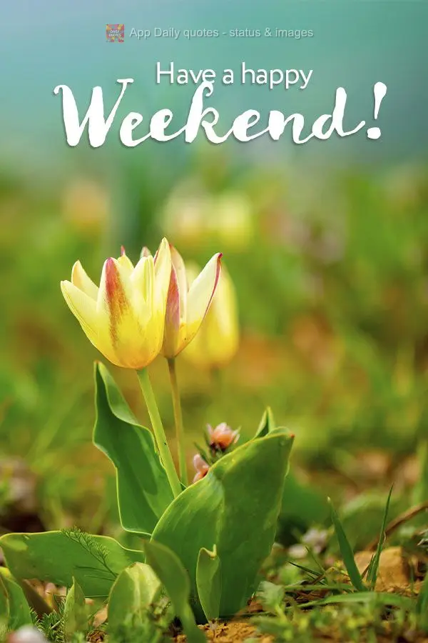 Have a happy weekend!