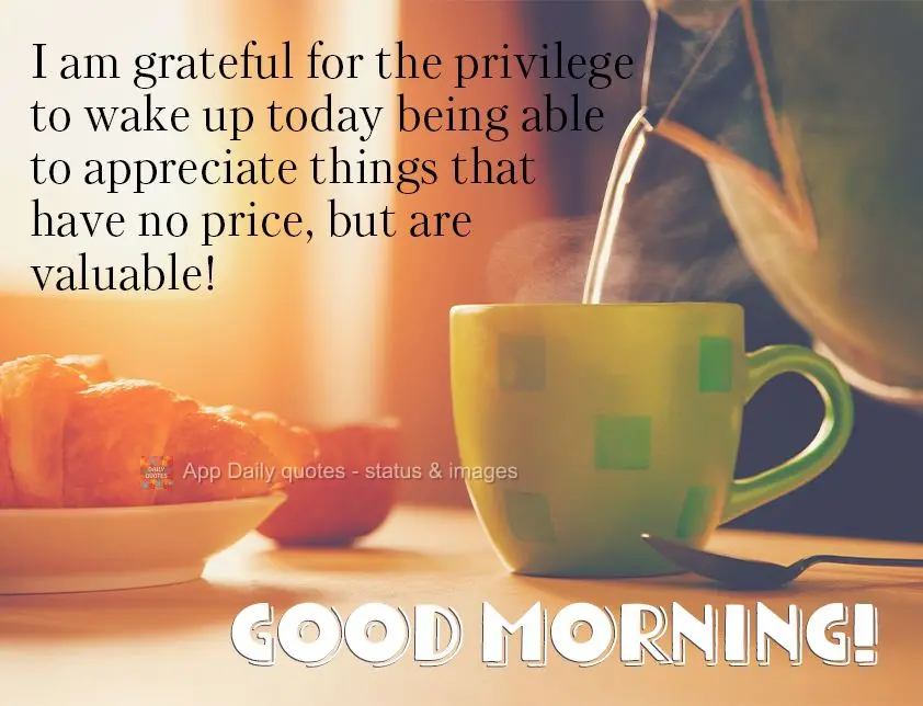 Agradeça pelo privilégio de acordar hoje e poder apreciar as coisas que não tem preço, mas tem muito valor! Bom dia!