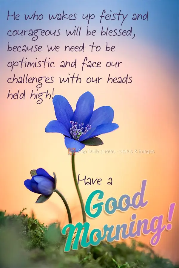 Bendito seja quem acorda com bravura e coragem, porque devemos ser otimistas e enfrentar os desafios de cabeça erguida!  Tenha um Bom dia!