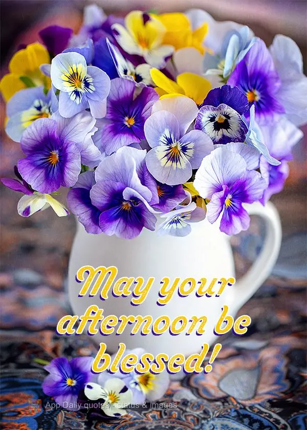 Que seja abençoada a sua tarde!