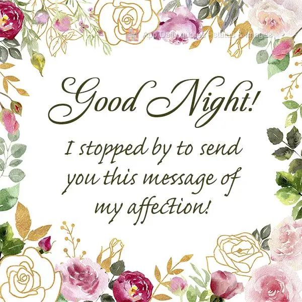 I stopped by to send you this gesture of my affection! Good night!