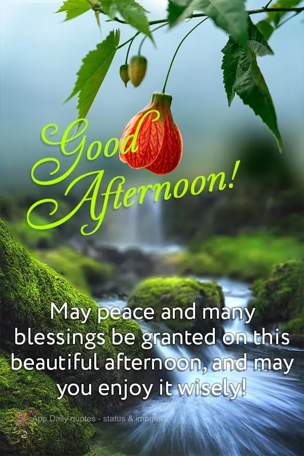 Que seja providenciada a paz e muitas bênçãos nesta linda tarde, e que você aproveite com sabedoria! Boa tarde!