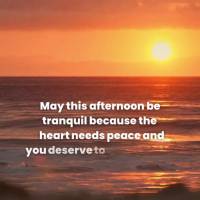 Que seja tranquila essa tarde pois o coração precisa de paz, e você merece viver uma vida tranquila cheia de felicidade. Boa tarde! 
