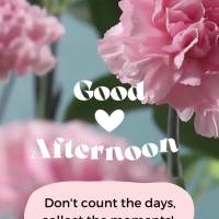 Não conte os dias, colecione momentos! Boa tarde!