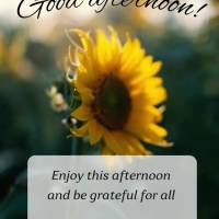 Aproveite essa tarde e agradeça por todas as bênçãos que Deus te presenteou! Boa tarde! 