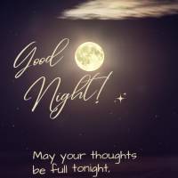 Que seja plena esta noite, os pensamentos, que esteja em paz seu coração e não esqueça de expressar a sua gratidão! Boa noite!