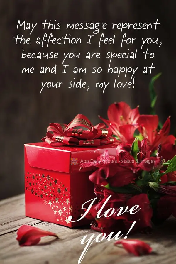 May this message represent the affection I feel for you, because you are special to me and I am so happy at your side, my love! I love you!