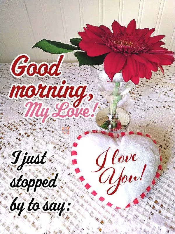 Good morning, my love! I just stopped by to say: I love you!