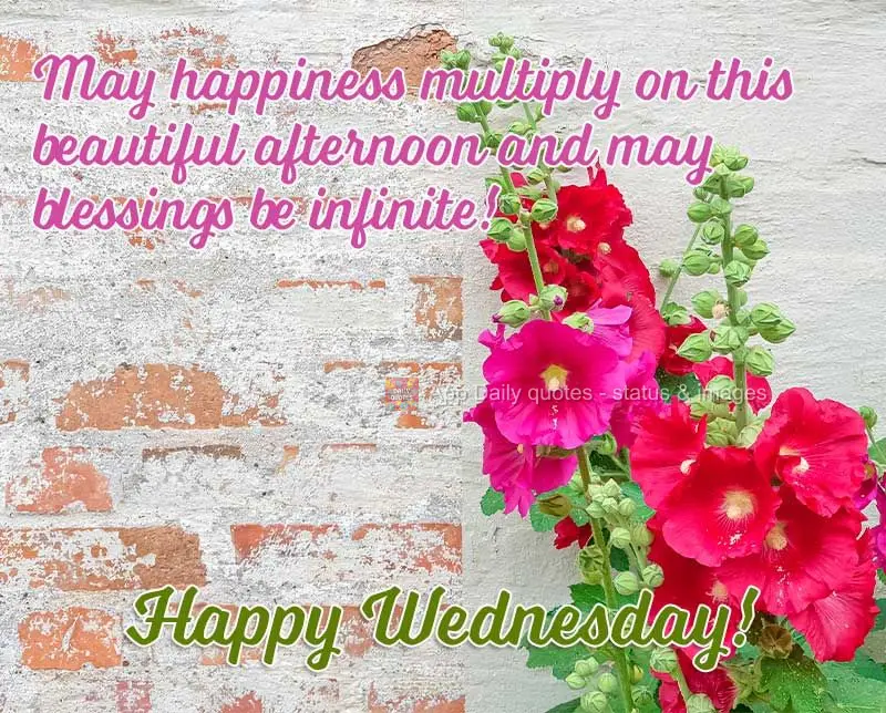 May happiness multiply on this beautiful afternoon, and may blessings be infinite! Happy Wednesday!
