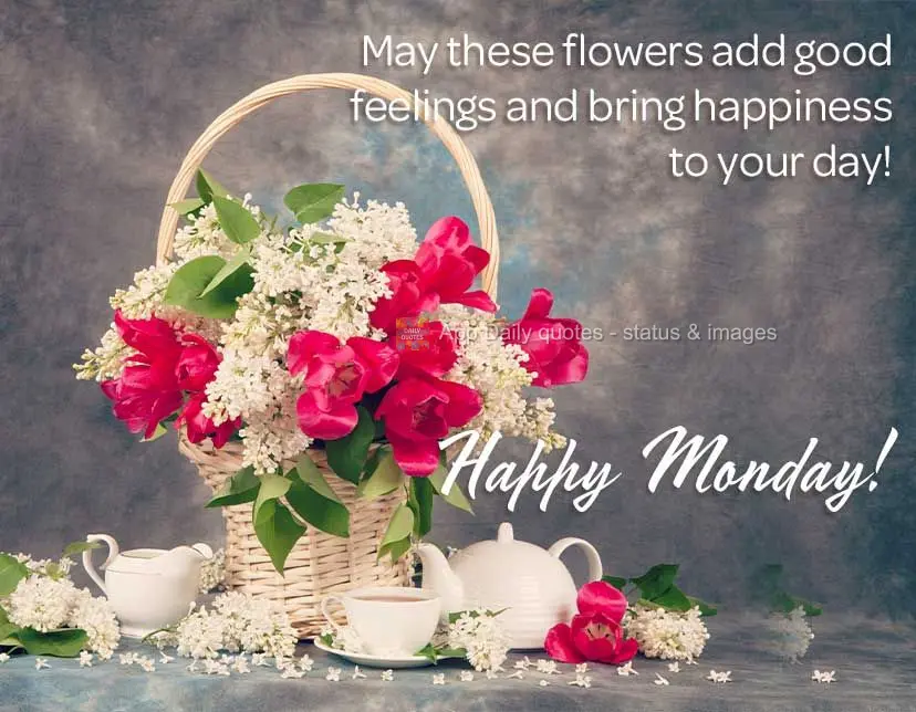 May these flowers inspire good feelings and bring happiness to your day! Happy Monday!