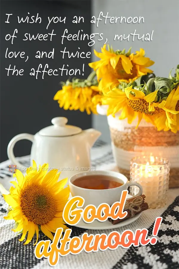 Desejo uma tarde de doces sentimentos, amor recíproco e carinho em dobro! Boa tarde!