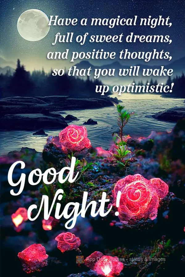 Tenha uma noite mágica, cheia de lindos sonhos e pensamentos positivos, para que acorde otimista! Boa noite!