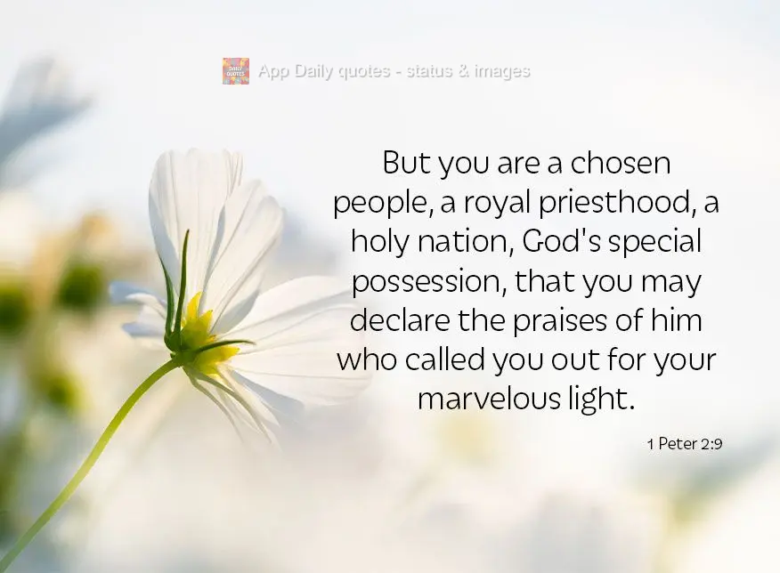 But you are a chosen people, a royal priesthood, a holy nation, God's special possession, that you may declare the praises of He who called you out for y...