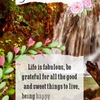 A vida é fabulosa, agradeça por todas as coisas boas e gostosas de se viver, ser feliz é viver inteiramente grato! Bom dia! 