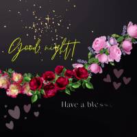 Tenha uma noite abençoada, cheia de paz, amor, saúde e bênçãos infinitas  Boa noite!