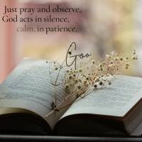 Apenas ore o observe, Deus age no silêncio, na calma, na paciência e no seu tempo! Boa noite!