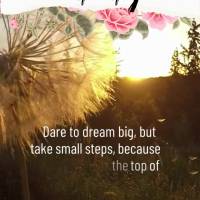 Ouse sonhar grande, mas dê pequenos passos, porque ninguém vê o alto da montanha, mas se olhar para trás sinta-se orgulhoso por tudo que já passou e...