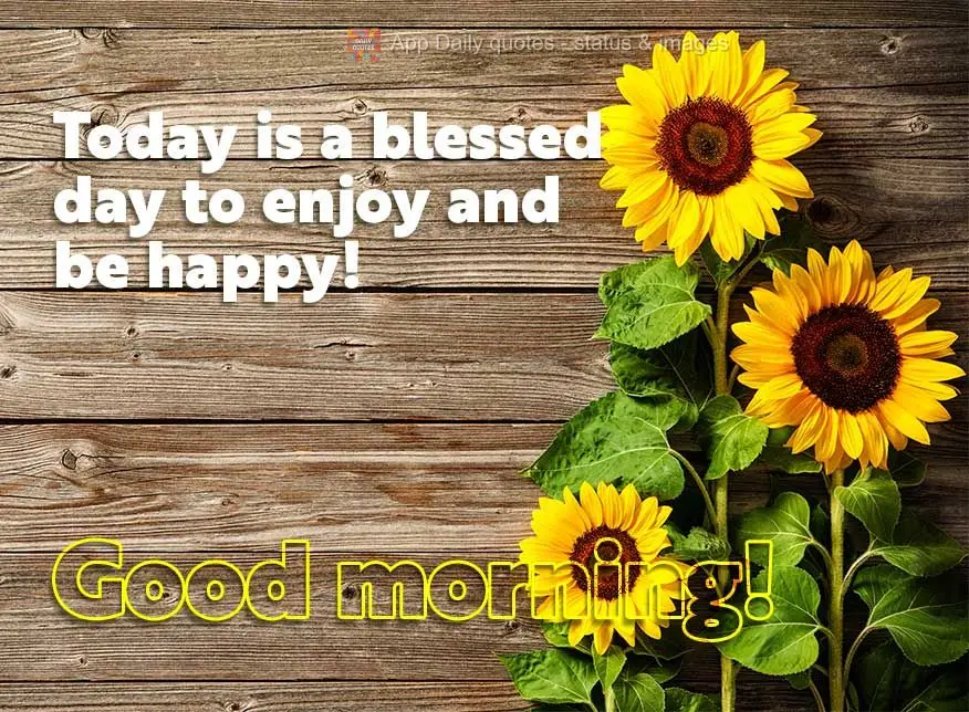 Hoje é um dia abençoado para aproveitar e ser feliz! Bom dia!