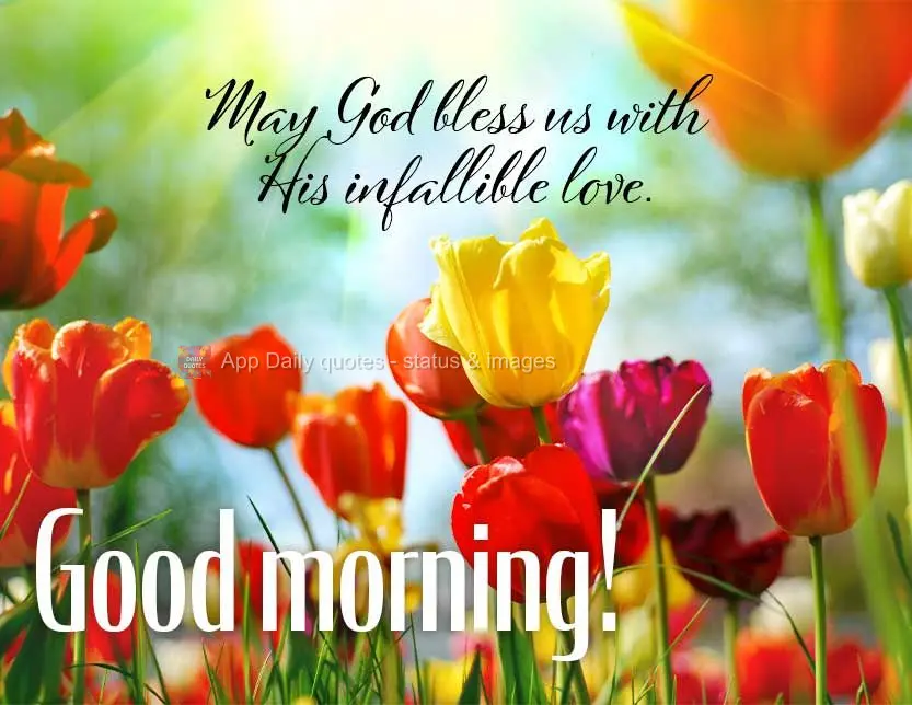 Que Deus nos abençoe com seu amor inabalável. Bom dia!