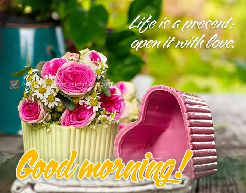 A vida é um presente; abra-o com o amor. Bom dia!