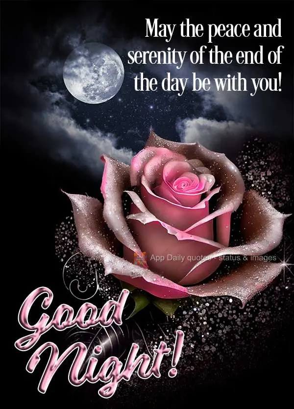 Que a paz e a serenidade do fim do dia estejam com você! Boa noite! 