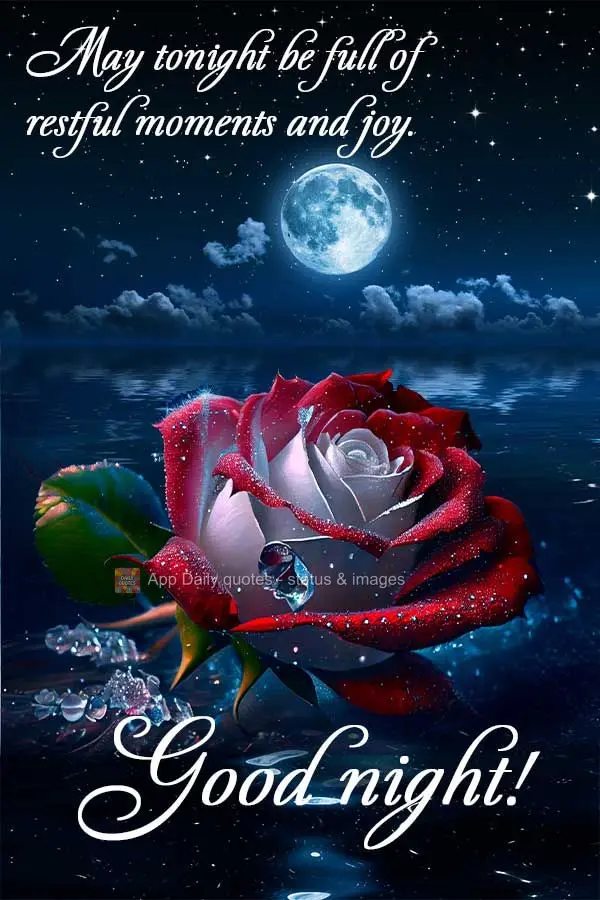 May tonight be full of restful moments and joy. Good night!