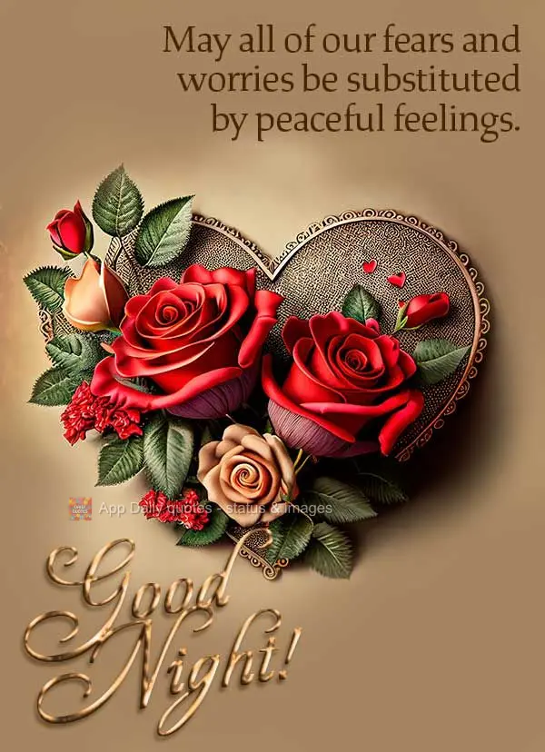 Que todos os seus medos e preocupações sejam substituídos por sentimentos de paz. Boa noite!