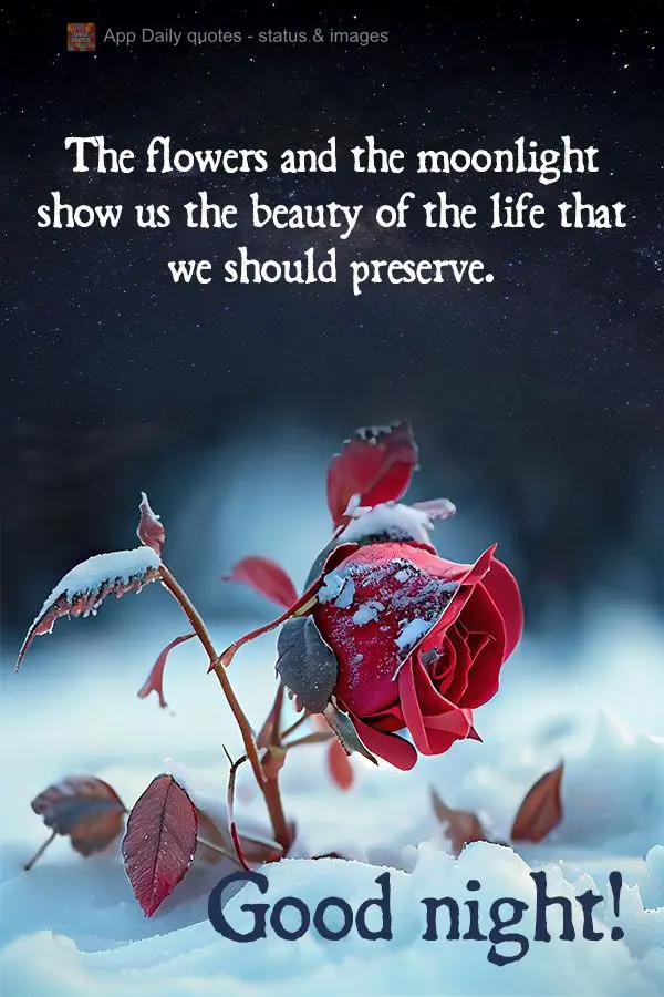 The flowers and moonlight show us the beauty of the life that we should preserve. Good night!