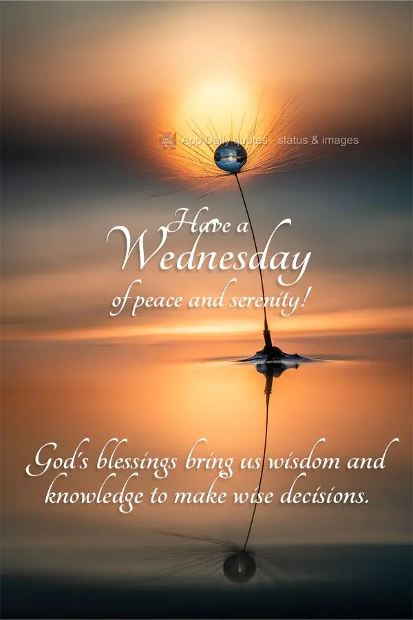 As bênçãos de Deus nos traz sabedoria e discernimento para tomar decisões sábias. Tenha uma Quarta-feira de paz e serenidade!