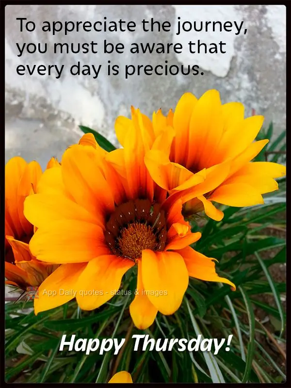 To appreciate the journey, you must keep in mind that every day is precious. Happy Thursday!