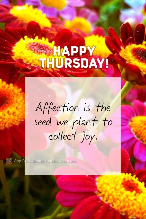 O carinho é a semente que plantamos para colhermos alegria. Feliz Quinta-feira!