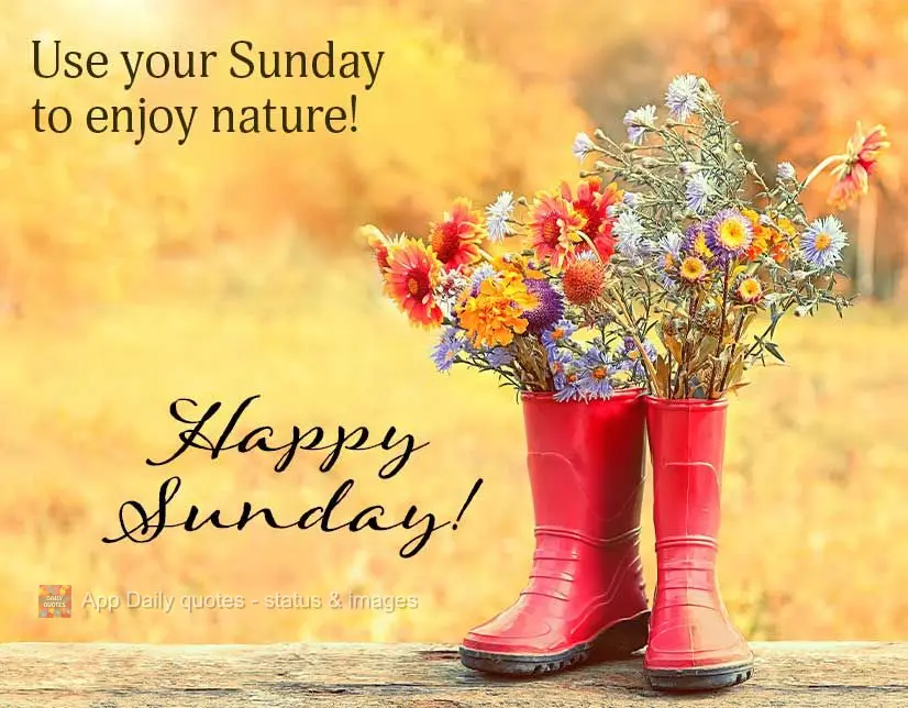 Take advantage of your Sunday to enjoy nature! Happy Sunday!