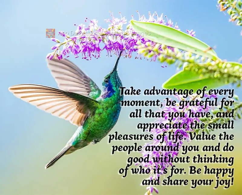 Take advantage of every moment, be grateful for all that you have, and appreciate the small pleasures of life. Value the people around you and do good wi...