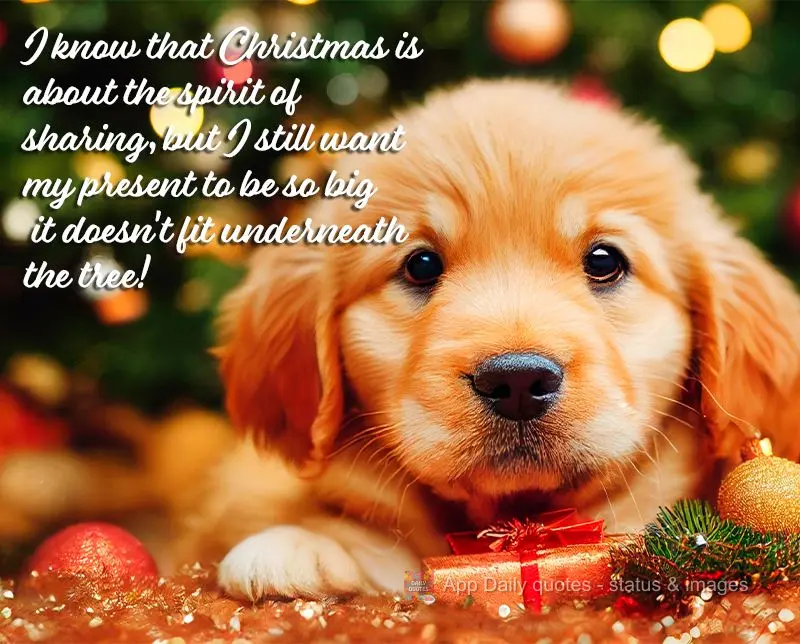 I know that Christmas is about the spirit of sharing, but I still want my present to be so big it doesn't fit underneath the tree!