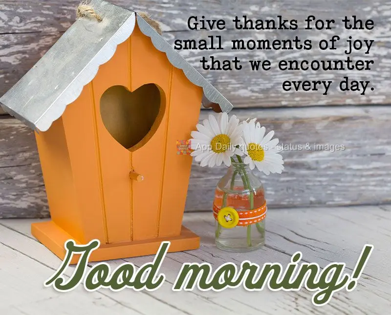 Dê graças pelos pequenos momentos de alegria que encontramos todos os dias.
 Bom dia!