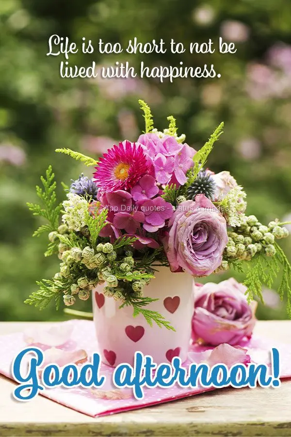 A vida é curta demais para não ser vivida com alegria. Boa tarde!