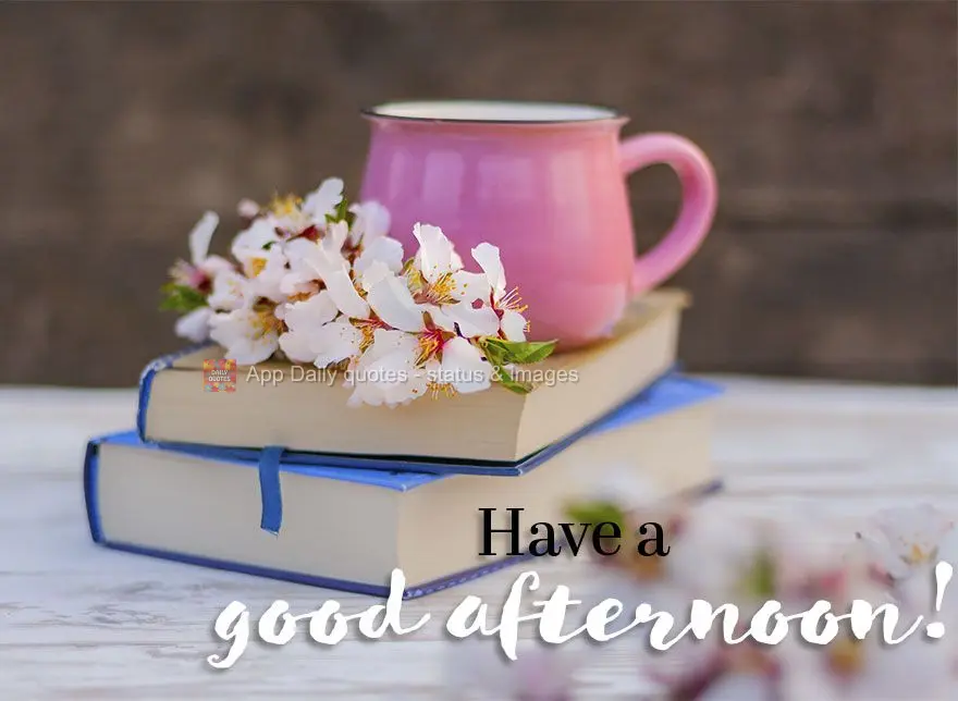 Tenha uma Feliz tarde!