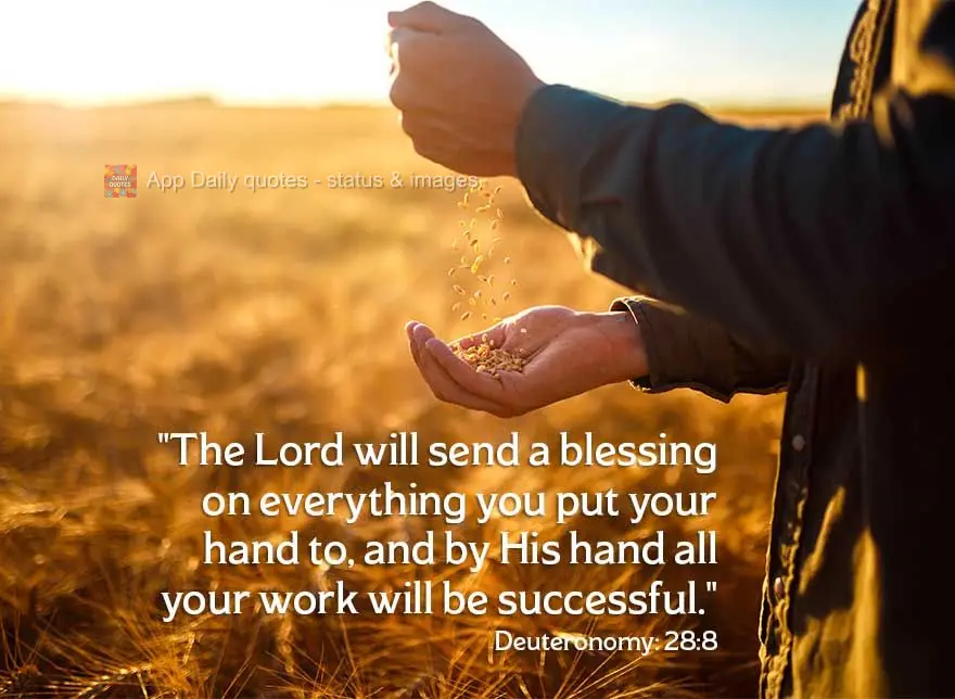 "The Lord will send a blessing on everything you put your hand to, and by His hand all your work will be successful." Deuteronomy: 28:8