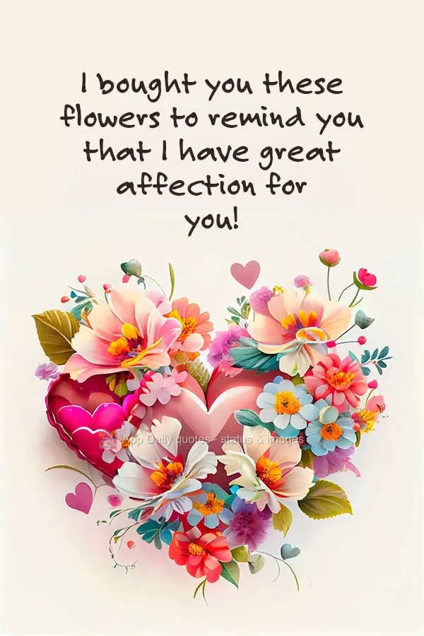 I bought you these flowers to remind you that I have great affection for you!