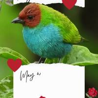 Que possamos aproveitar este dia abençoado com gratidão. Bom dia!