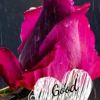 Aprecie os pequenos detalhes e seja grato por eles. Bom dia!