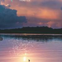 Você não pode comprar a felicidade, mas você pode investir seu tempo e energia em construí-la. Boa tarde!