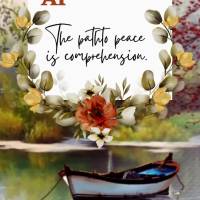 O caminho para a paz é a compreensão. Boa tarde!