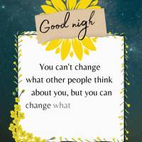 Você não pode mudar o que outras pessoas pensam de você, mas você pode mudar o que pensa de si mesmo. Boa noite!